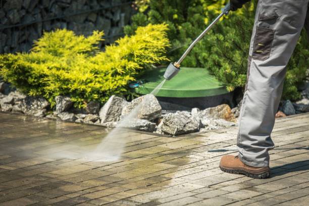 Best Animal Enclosure Cleaning  in Fort Pierce South, FL